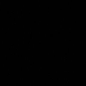 Meet your Posher, Max